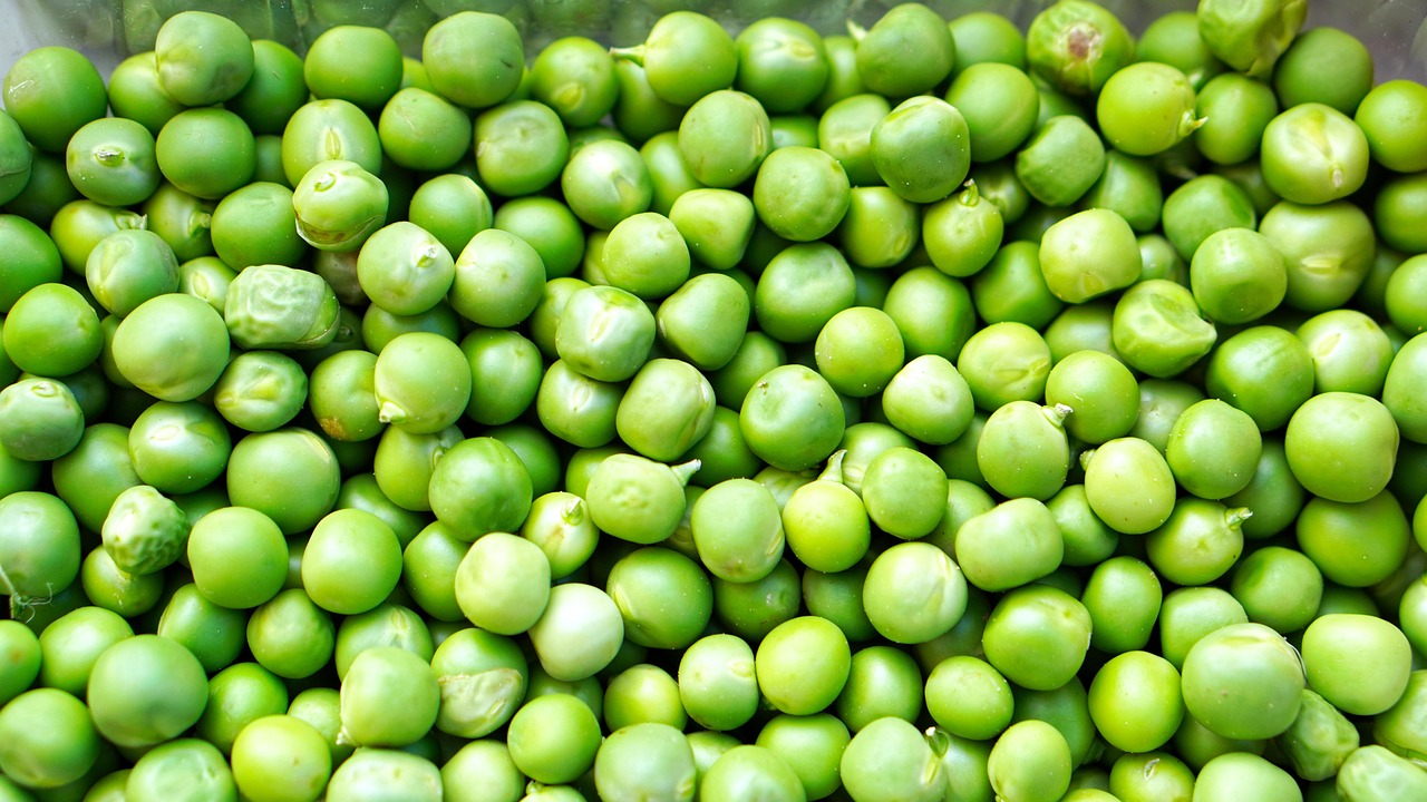 Pea