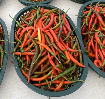 Thai Chili
