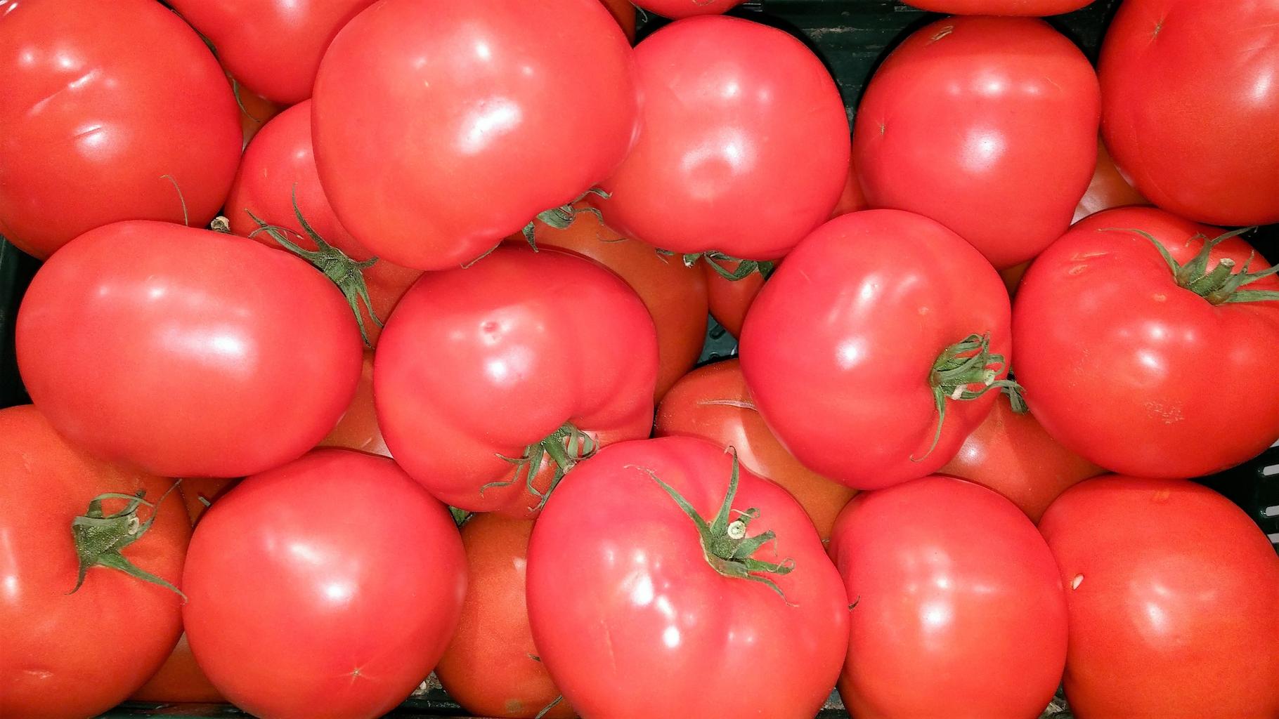 Tomatoes