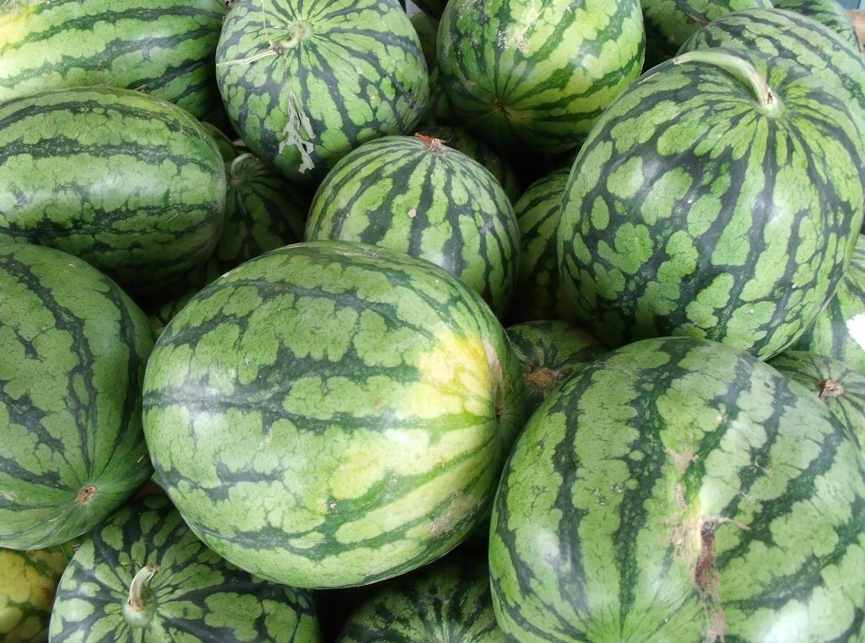 Watermelon